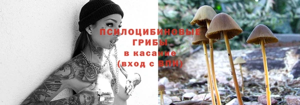 шишки Пионерский